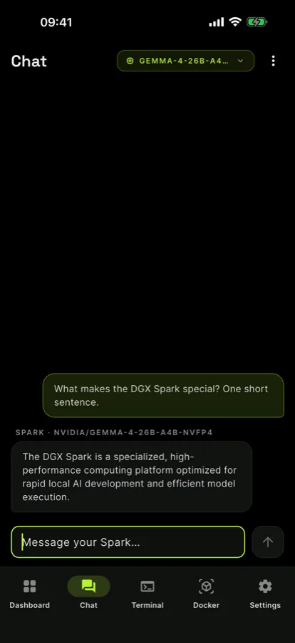 Chat with the language model served locally on the Spark.