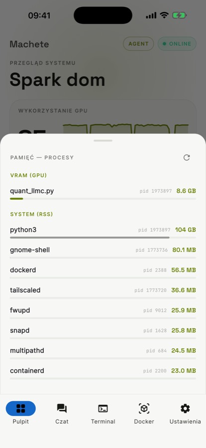What's loaded in GPU